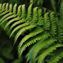 사천 케이블카 자연휴양림 이미지