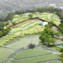 고금면-1 이미지