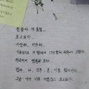 진광합기도 이미지