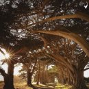 펜화 스케치 이미지