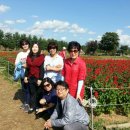 삼도초교 이미지