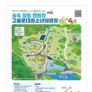 대청카 이미지