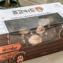 비용명품버섯