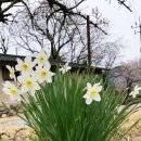 상신계곡펜션 | [계룡산동학사펜션] 대전근교펜션 계곡에서 즐기는 '상신계곡펜션'