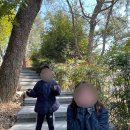 광양불고기 금목서 | 남해여행part5. 광양 가길 잘했다! 광양 맛집 금목서불고기 내돈내산후기