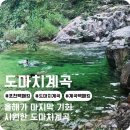 도마치자연그대로캠핑장 - 1196 | 포천 도마치계곡 캠핑장 자연그대로캠핑장 가는방법 주차 후기