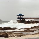 동해파도소리 이미지