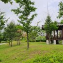 달걀부리마을 입구 이미지