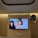 오렌지동물병원 | 강남차병원 초산 유도분만 성공후기 @ 강남차병원 가족분만실, 특실 후기