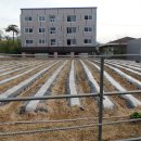 봉곡동240 이미지