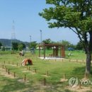 낙동강변17 이미지