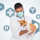 광진동물병원 이미지