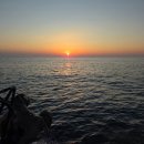 1대물호 | 친구랑 강릉배낚시 다녀온 내돈내산 후기입니다