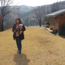 달건너농장 이미지