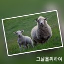 자동차 하부코팅 적용시 물에 대한 저항성과 밀림성이 궁금해요 이미지