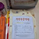 용마동물병원 | 11살 고양이를 간호하는 밤들