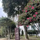 소노벨 타워 A.B 제주 이미지