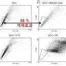 코미팜-드디어 때가 왔네요. 지금 기회 이미지