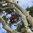 현북초등학교 이미지