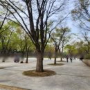옴시롱감시롱순대국