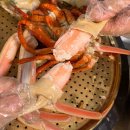 기장대게 | 기장대게맛집 기장시장 명품대게 솔직후기