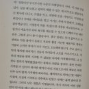 동해-단속-29 | [시선으로부터, - 정세랑] 독후감, 후기, 인상적인 문장