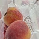 매향농장 네이버블로그