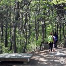 2019-주074 Daum카페