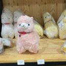 포레스트카페(For Rest cafe)