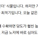 근대 키우기 &amp; 근대나물 만들기 이미지