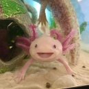 소중농장 이미지