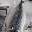 모여라포차 이미지