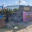 위드세화민박 이미지