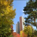 광교대림e편한단지내공인중개사사무소 | [광교대림이편한세상] 6.27정부부동산대책내용,그리고 광교신도시아파트/이편한세상광교 시세영향은...