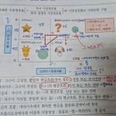 일반경영 bcg 매트릭스 질문 이미지