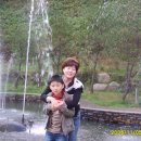 광양사슴농장 Daum카페
