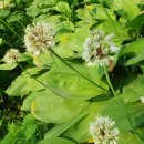 연숙농장 이미지