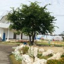 두리펜션 이미지