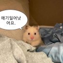 씨티티엘 | 죠구마블 수계여행🌎✈️ 2일차_광저우 경유 하노이 여행 ; 하노이 여행 1일차(하노이 올드쿼터_숙소, 네일...