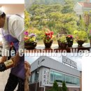 자미원숯불갈비 이미지