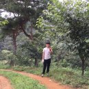 옹달샘식품 네이버블로그