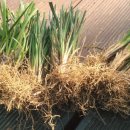 이화농장3 이미지