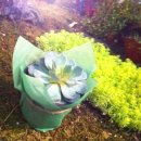 선기로2-7 이미지