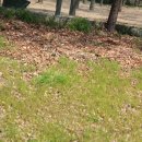 로지의원 이미지