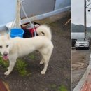 백구파출소 이미지