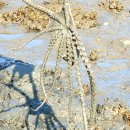 팔팔민박 이미지