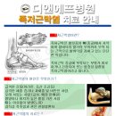 디앤에프병원 네이버블로그
