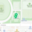 횡성군 체육관 수영장 이미지