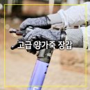 위로가 필요한 순간; 클래식 터치 | 양가죽 장갑 겨울 필수템 고급가죽장갑 루디스 어반클래식 실사용후기