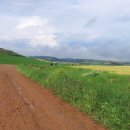 아이비노래연습장 | Camino de Santiago #18
